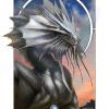 Photo de - Bahamut -